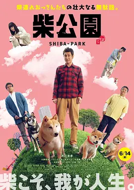 午夜毛片视频